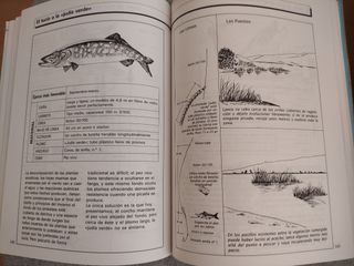 LA PESCA EN EL RÍO DE LA A A LA Z (Spanish Edit...
