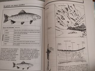 LA PESCA EN EL RÍO DE LA A A LA Z (Spanish Edit...