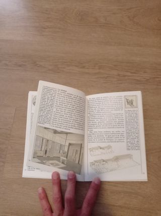 Divulgación historia romana