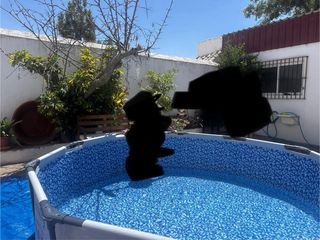 Piscina Bestway Steel Pro MAX