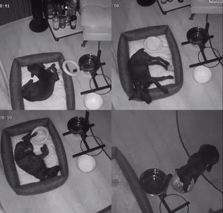 Camara Vigilancia Bebe Vigilabebes con Aplicación 