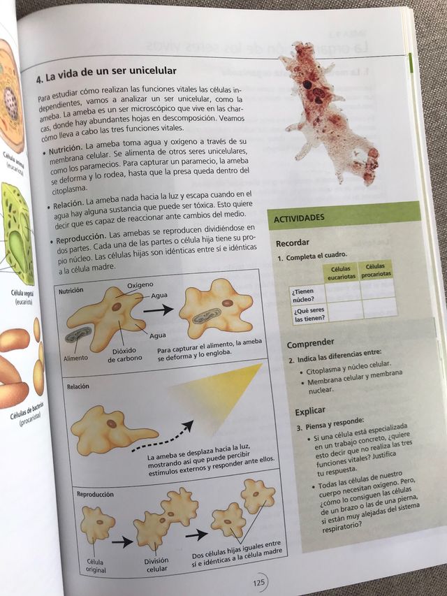 Ciencias de la Naturaleza 1 Eso buen Estado