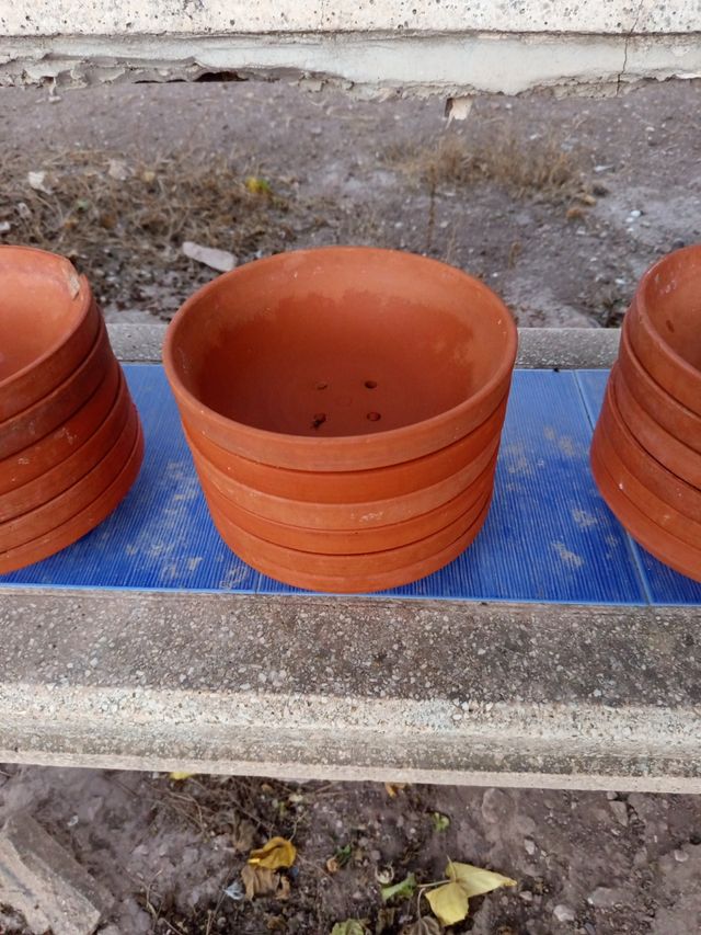 Lote de nidos de barro