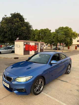 BMW Serie 2 2015