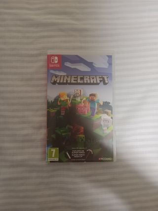Minecraft Nintendo Switch