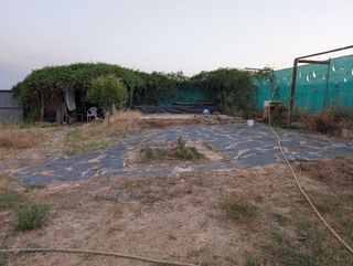 Finca rústica de regadío 