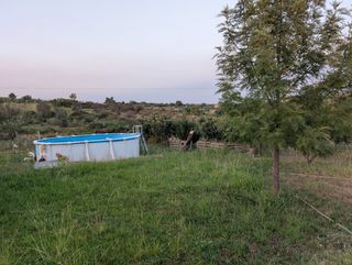 Finca rústica de regadío 