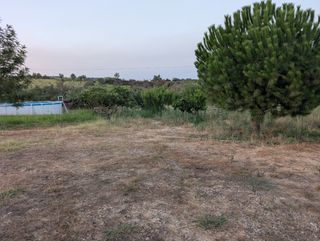 Finca rústica de regadío 