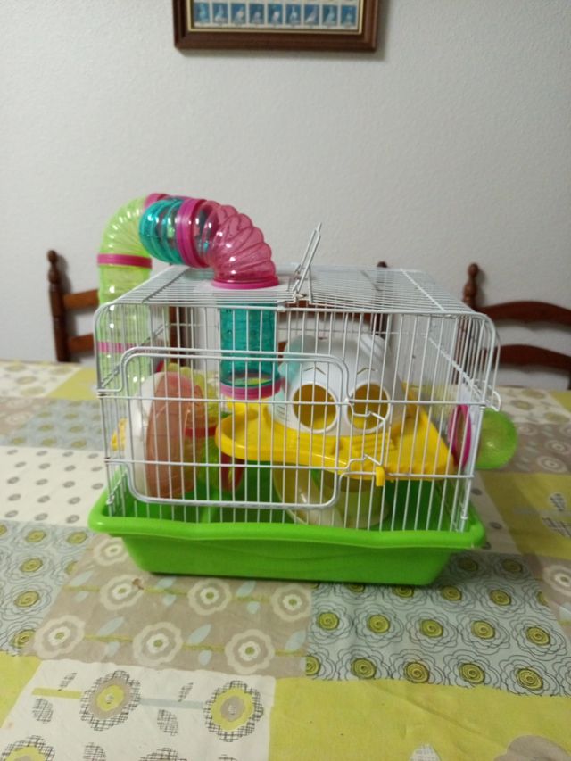 Jaula hamster - Verde y blanca