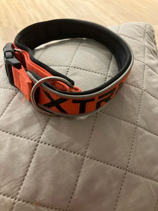 Collar XTRM para perro - Naranja