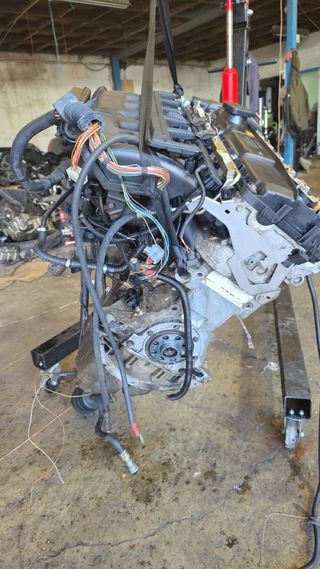 Motor BMW M54B30 (231cv) E46 330Ci. 