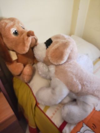 2 Peluches Perros - Suaves y nuevos