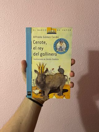 Lote 9 libros infantiles - Pack entero