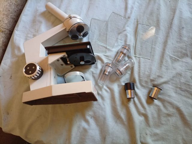 Microscopio de educación