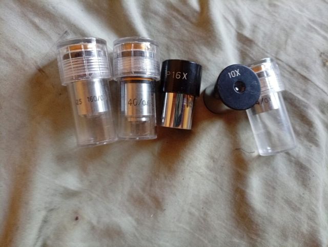 Microscopio de educación