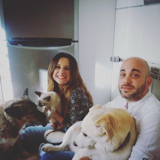 Cuidado de perros