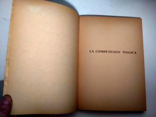 LA COMPETICIÓN MÁGICA Y OTROS CUENTOS DE HADAS...