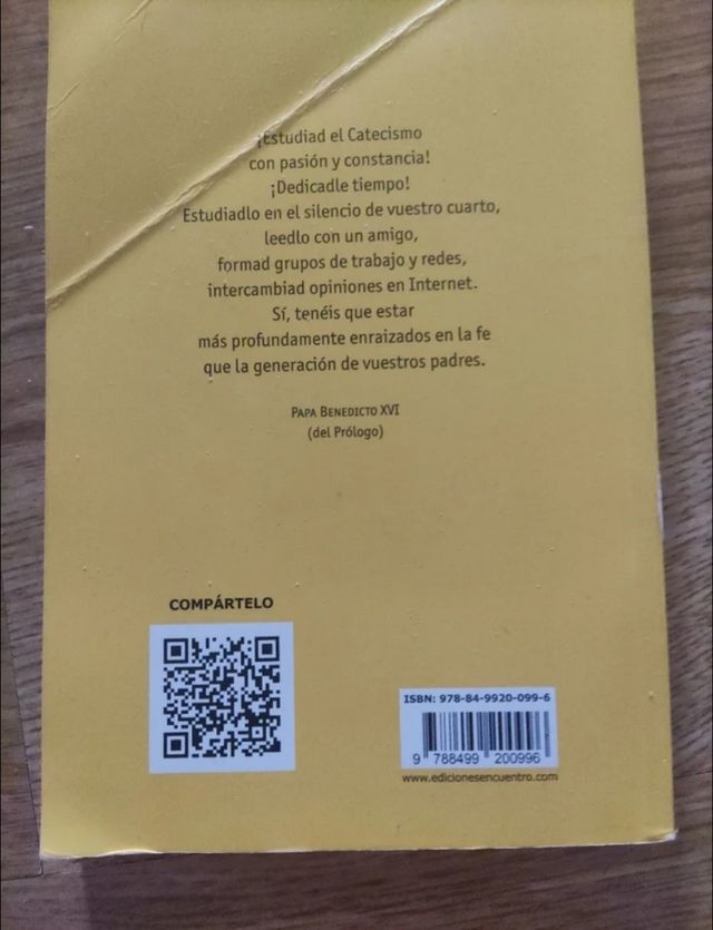 Youcat: catecismo joven de la Iglesia Católica