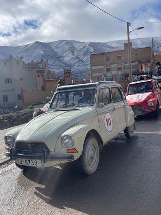 Citroen Dyane 6 1980