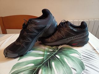 Zapatillas Salomon Speedcross 5 GTX