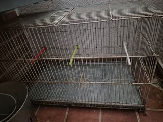 Jaula pajaros - Gris y Blanca