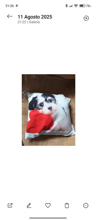 Cojín perrito - regalo ideal