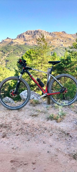 Bicicleta carbono 29" Talla L