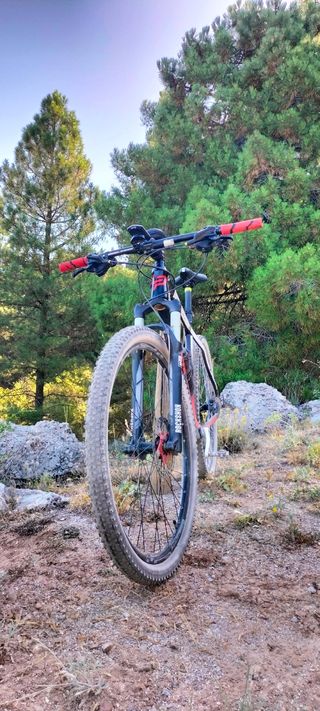 Bicicleta carbono 29" Talla L