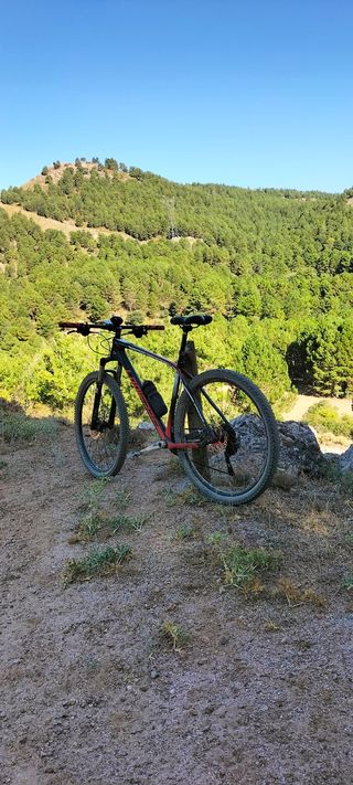 Bicicleta carbono 29" Talla L