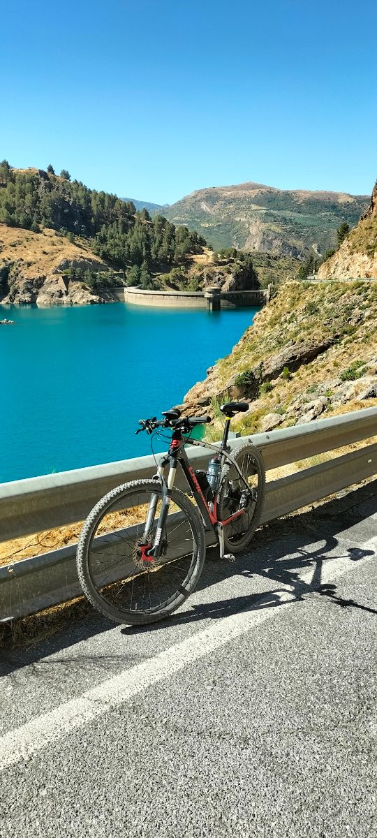 Bicicleta carbono 29" Talla L