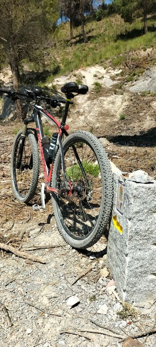 Bicicleta carbono 29" Talla L