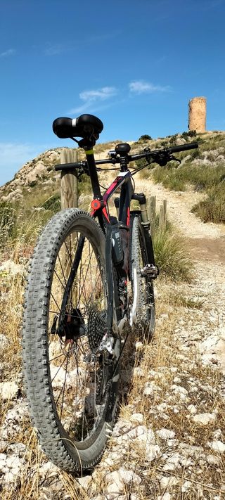 Bicicleta carbono 29" Talla L