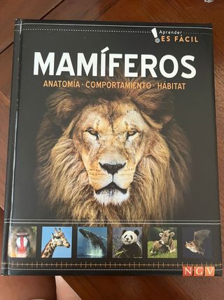 Mamíferos