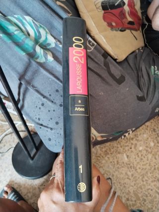 Diccionario planeta 2000 Larousse