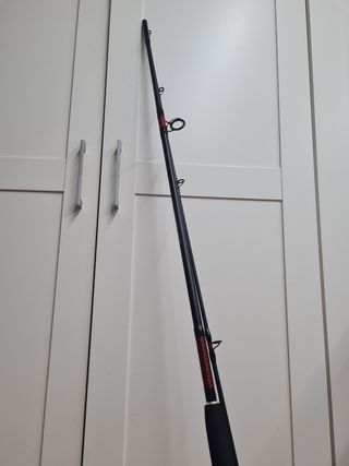 Caña CarpFishing (action)100-250g3METROS