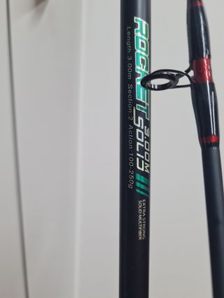 Caña CarpFishing (action)100-250g3METROS