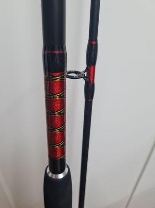 Caña CarpFishing (action)100-250g3METROS