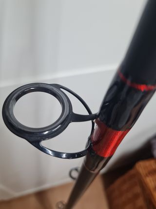 Caña CarpFishing (action)100-250g3METROS