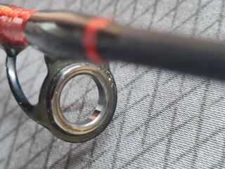 Caña CarpFishing (action)100-250g3METROS