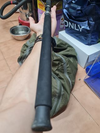 Caña CarpFishing (action)100-250g3METROS