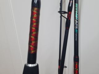 Caña CarpFishing (action)100-250g3METROS