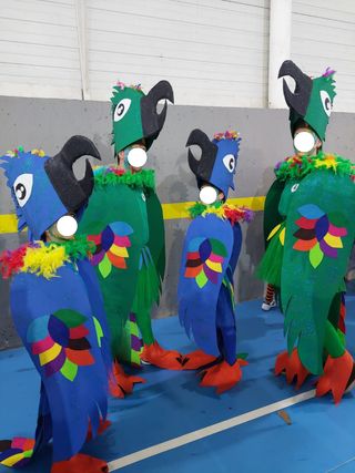 Disfraz Carnaval Loros, se venden por unidad. 
