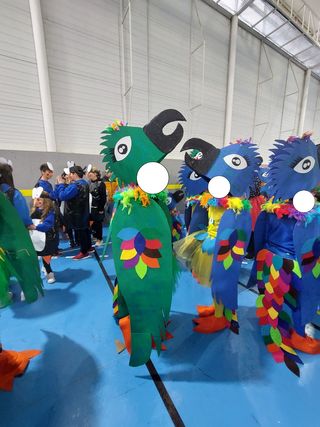 Disfraz Carnaval Loros, se venden por unidad. 
