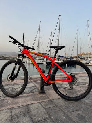 Bicicleta Montaña Specialized