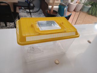 Tortuguera/Pecera amarilla