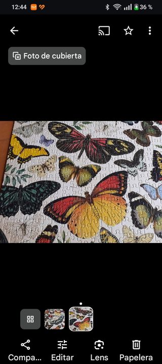 Puzzle 1000 piezas Mariposas