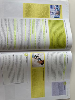 Religión Católica BA 2019