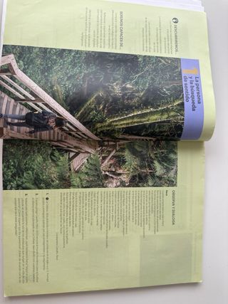 Religión Católica BA 2019