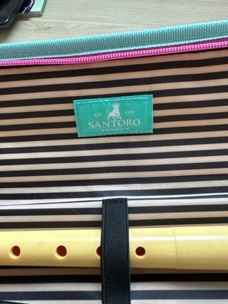 flauta infantil y estuche Santoro
