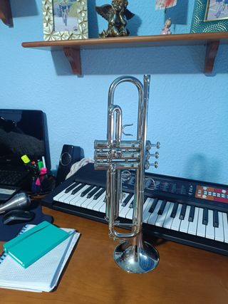 Trompeta metal ximel